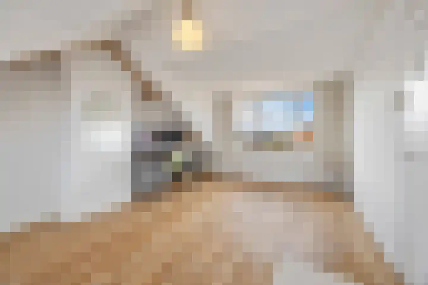 Paulus Potterstraat 68 Voorthuizen thumbnail 30