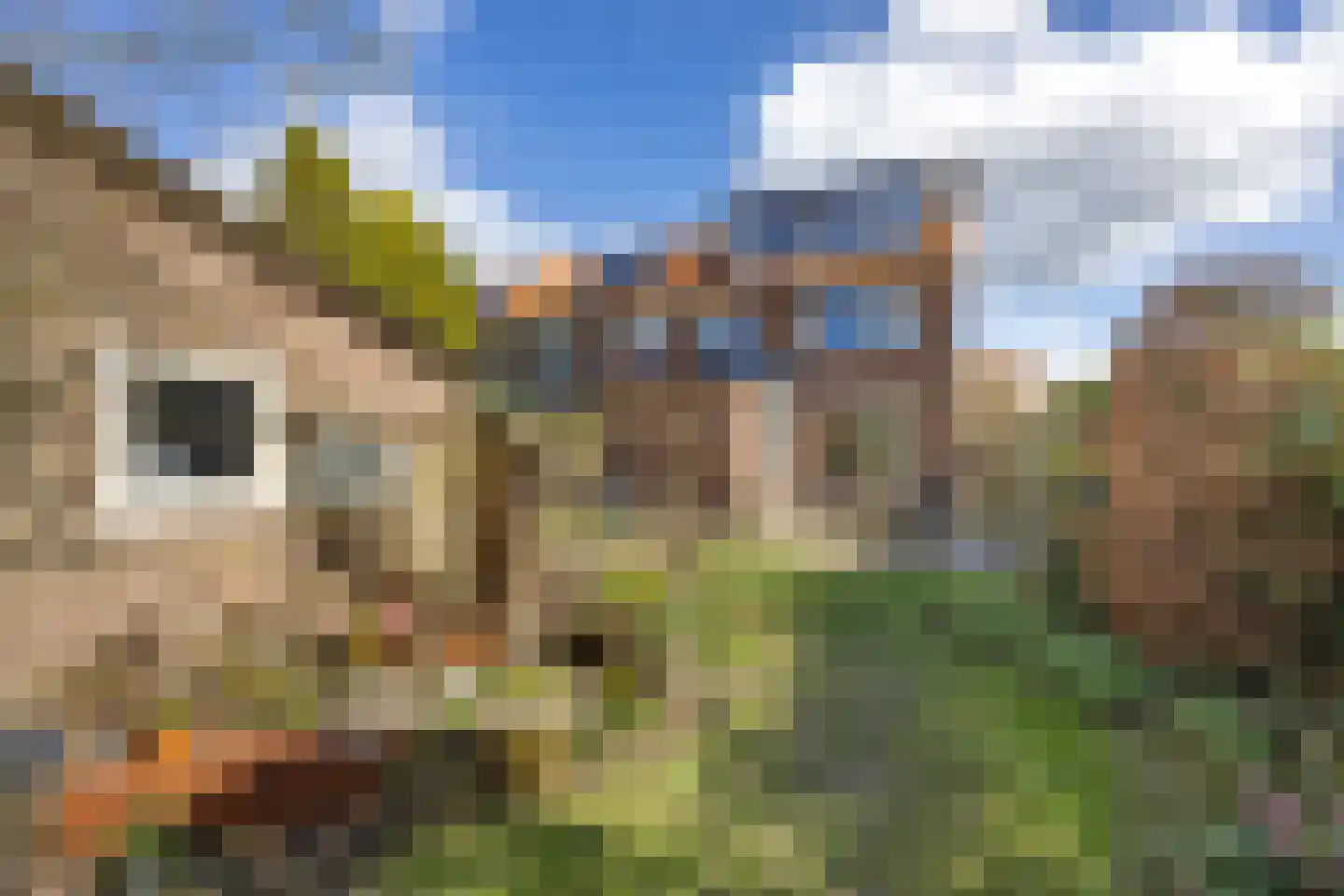 Paulus Potterstraat 68 Voorthuizen thumbnail 34