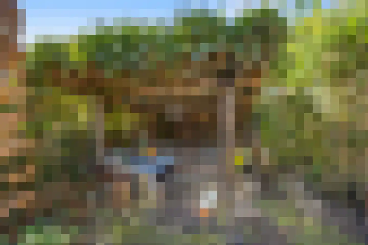 Paulus Potterstraat 68 Voorthuizen thumbnail 36