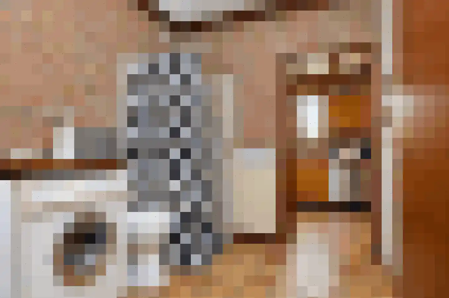 Paulus Potterstraat 7 Deurne thumbnail 11