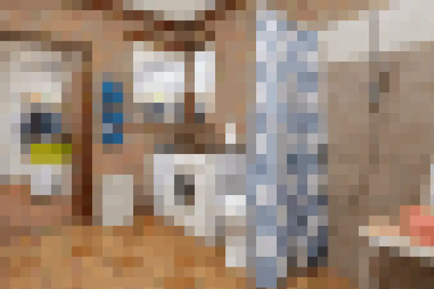 Paulus Potterstraat 7 Deurne thumbnail 12