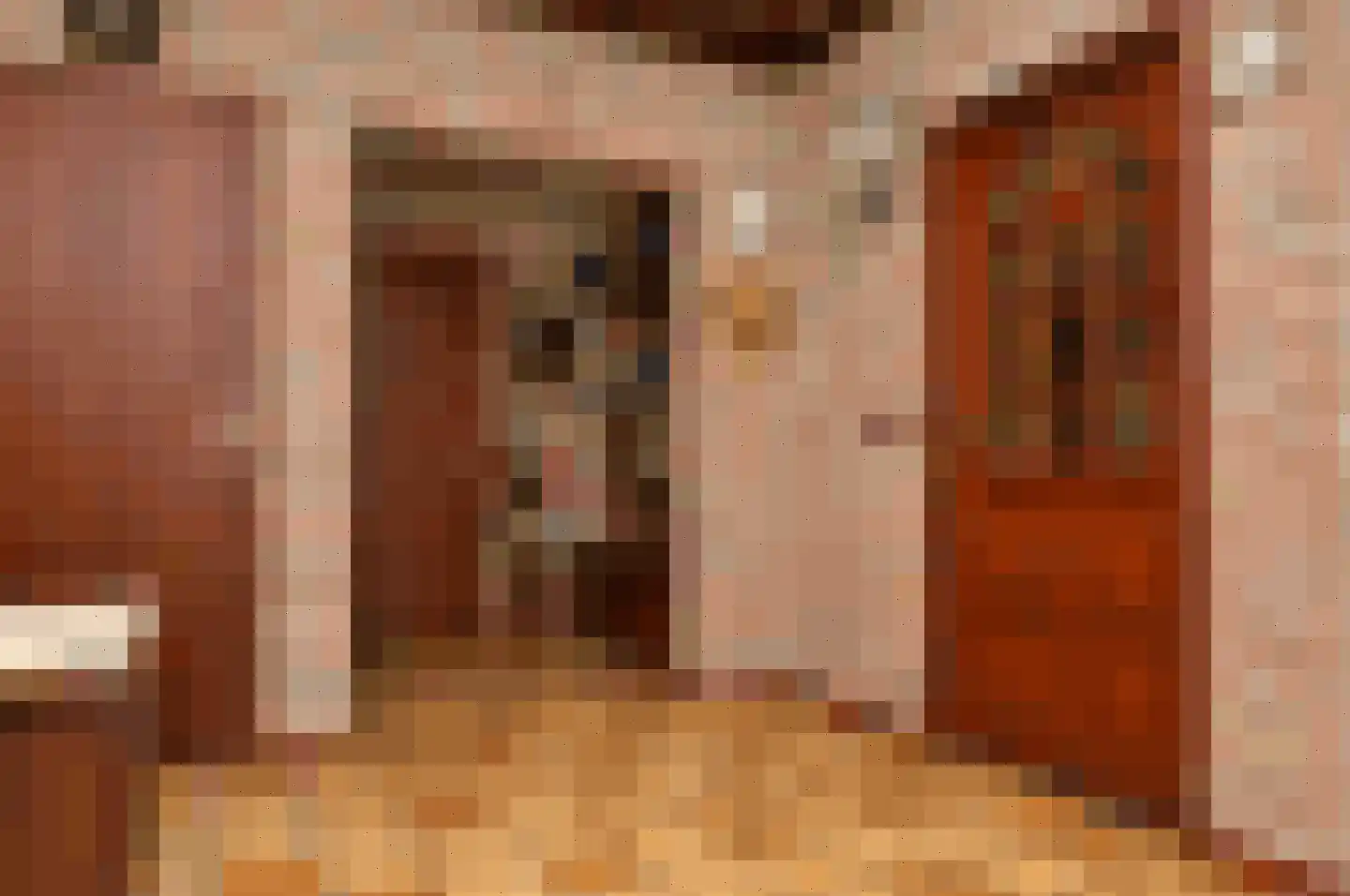 Paulus Potterstraat 7 Deurne thumbnail 14