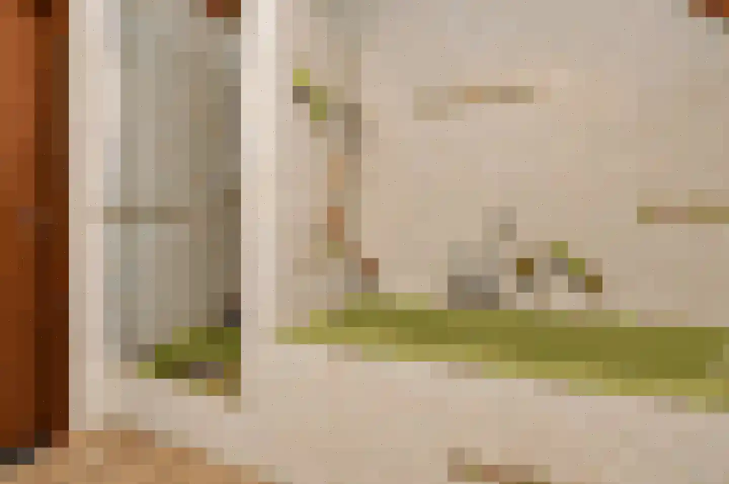 Paulus Potterstraat 7 Deurne thumbnail 22