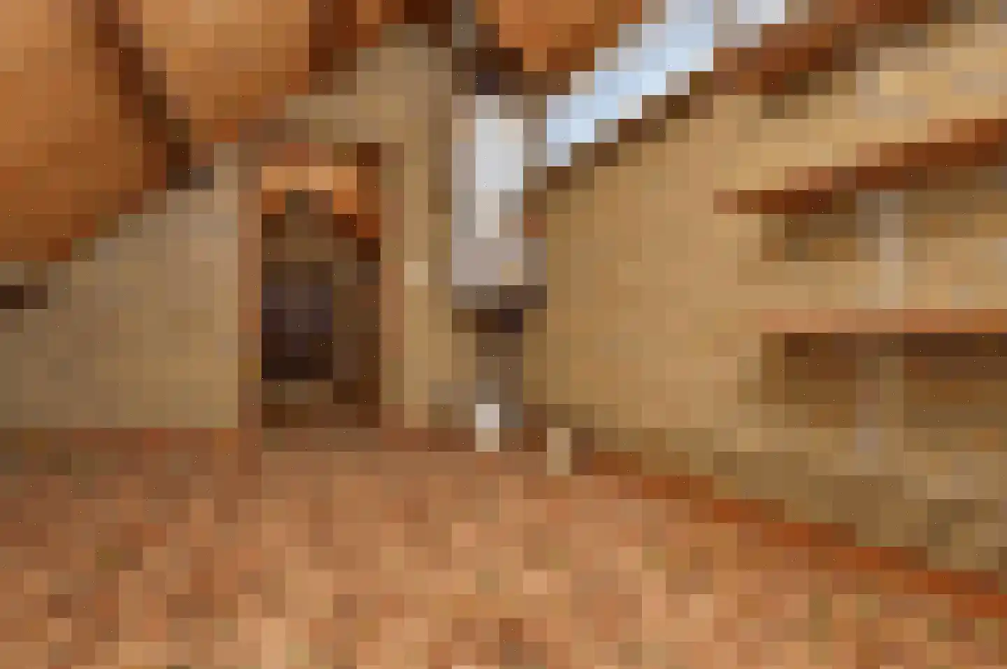 Paulus Potterstraat 7 Deurne thumbnail 23