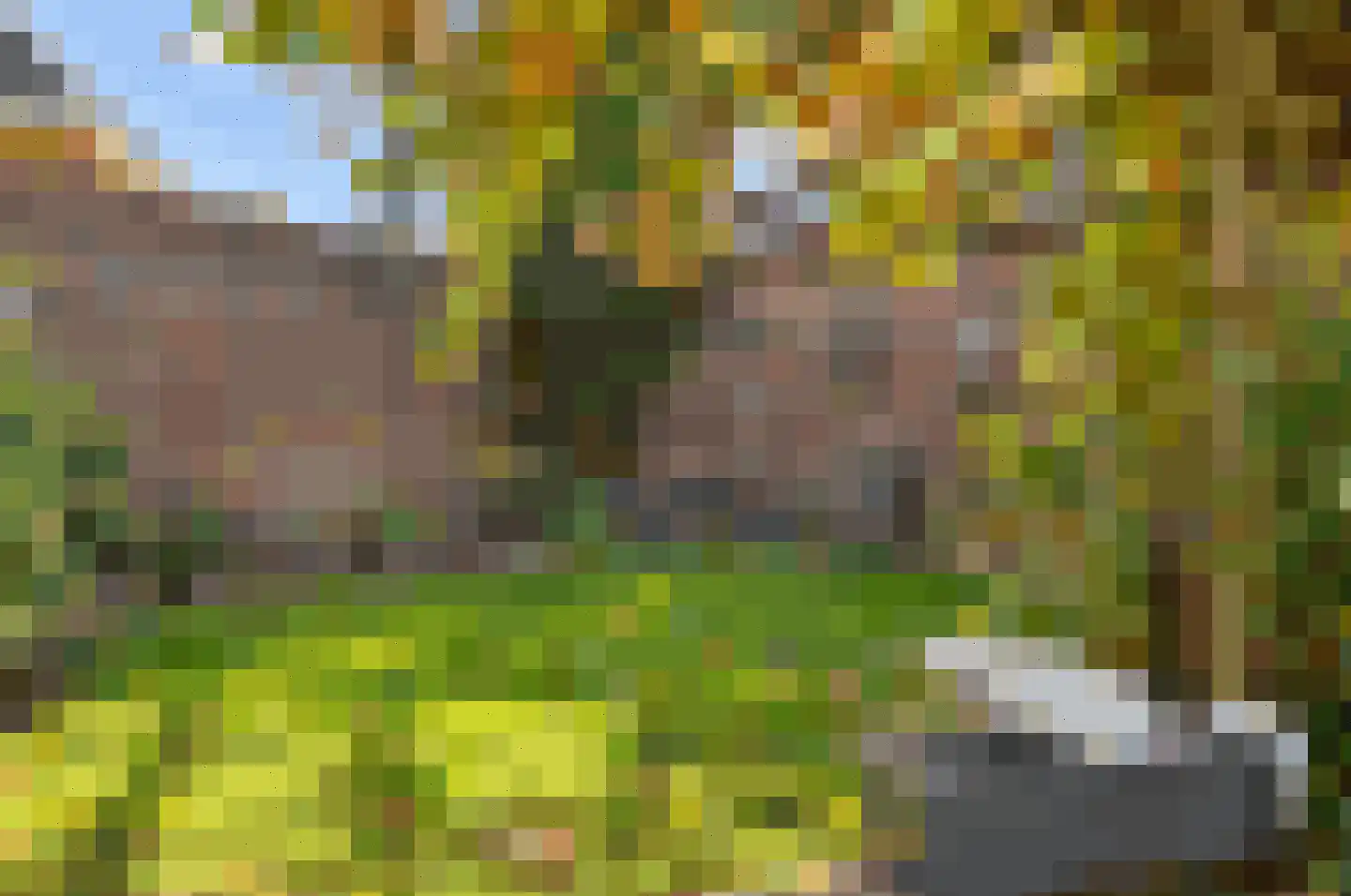 Paulus Potterstraat 7 Deurne thumbnail 27