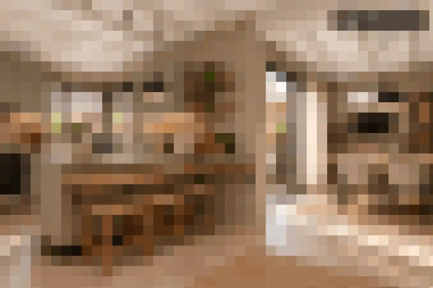 Paulus Potterstraat 7 Deurne thumbnail 6