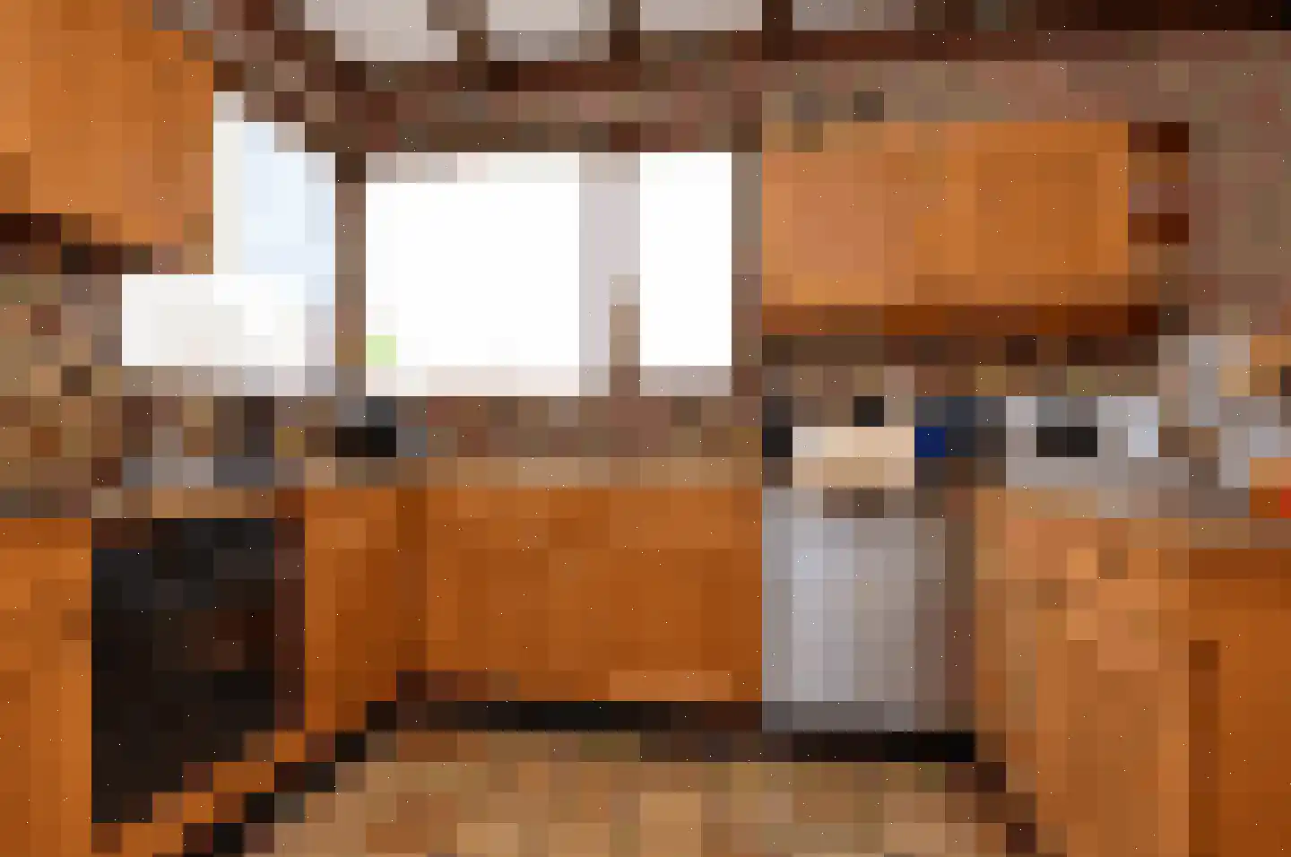 Paulus Potterstraat 7 Deurne thumbnail 7
