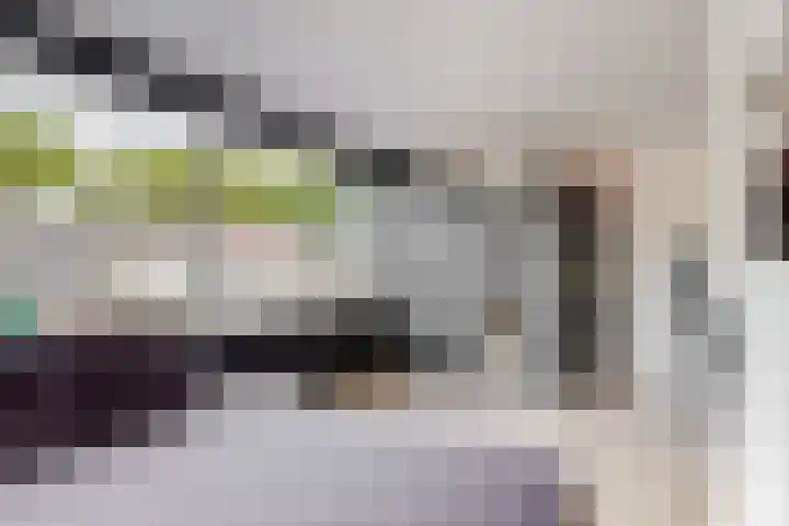 Paulus Potterstraat 7 Heerhugowaard thumbnail 22