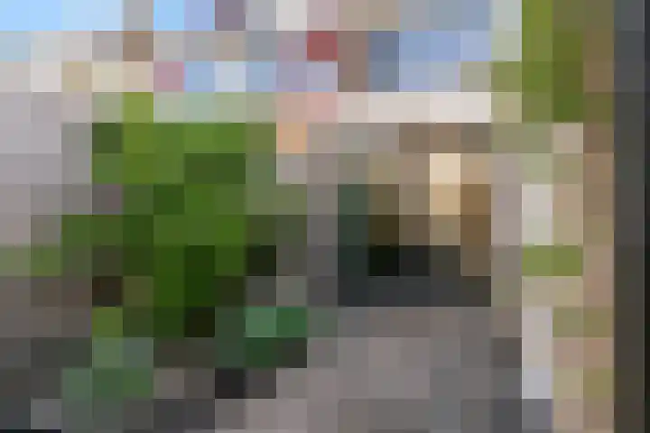 Paulus Potterstraat 7 Heerhugowaard thumbnail 31