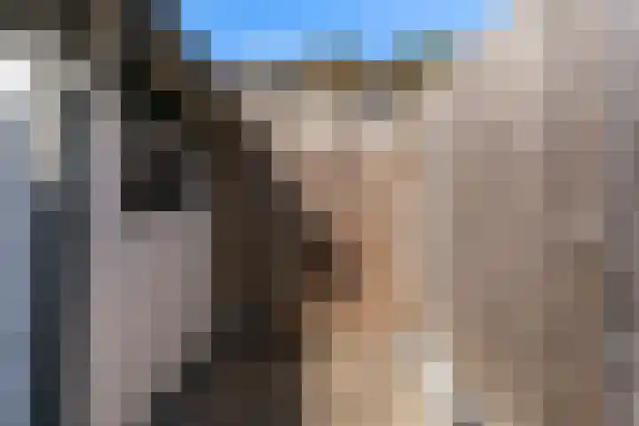 Paulus Potterstraat 7 Heerhugowaard thumbnail 33