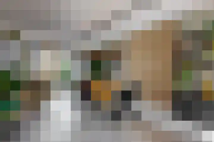 Paulus Potterstraat 7 Heerhugowaard thumbnail 6