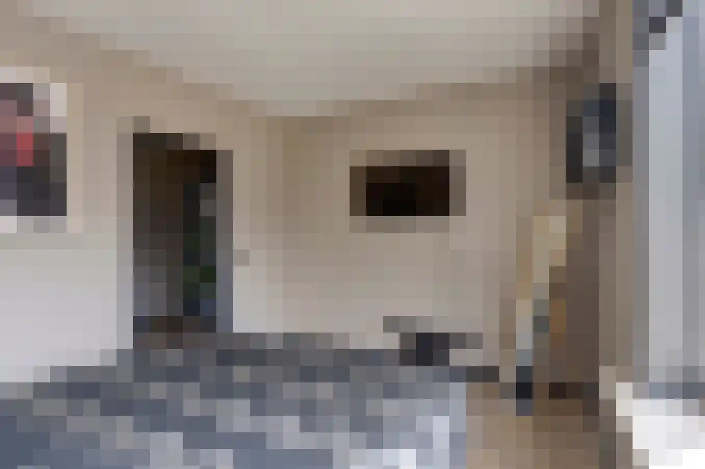 Paulus Potterstraat 75 Zutphen thumbnail 12