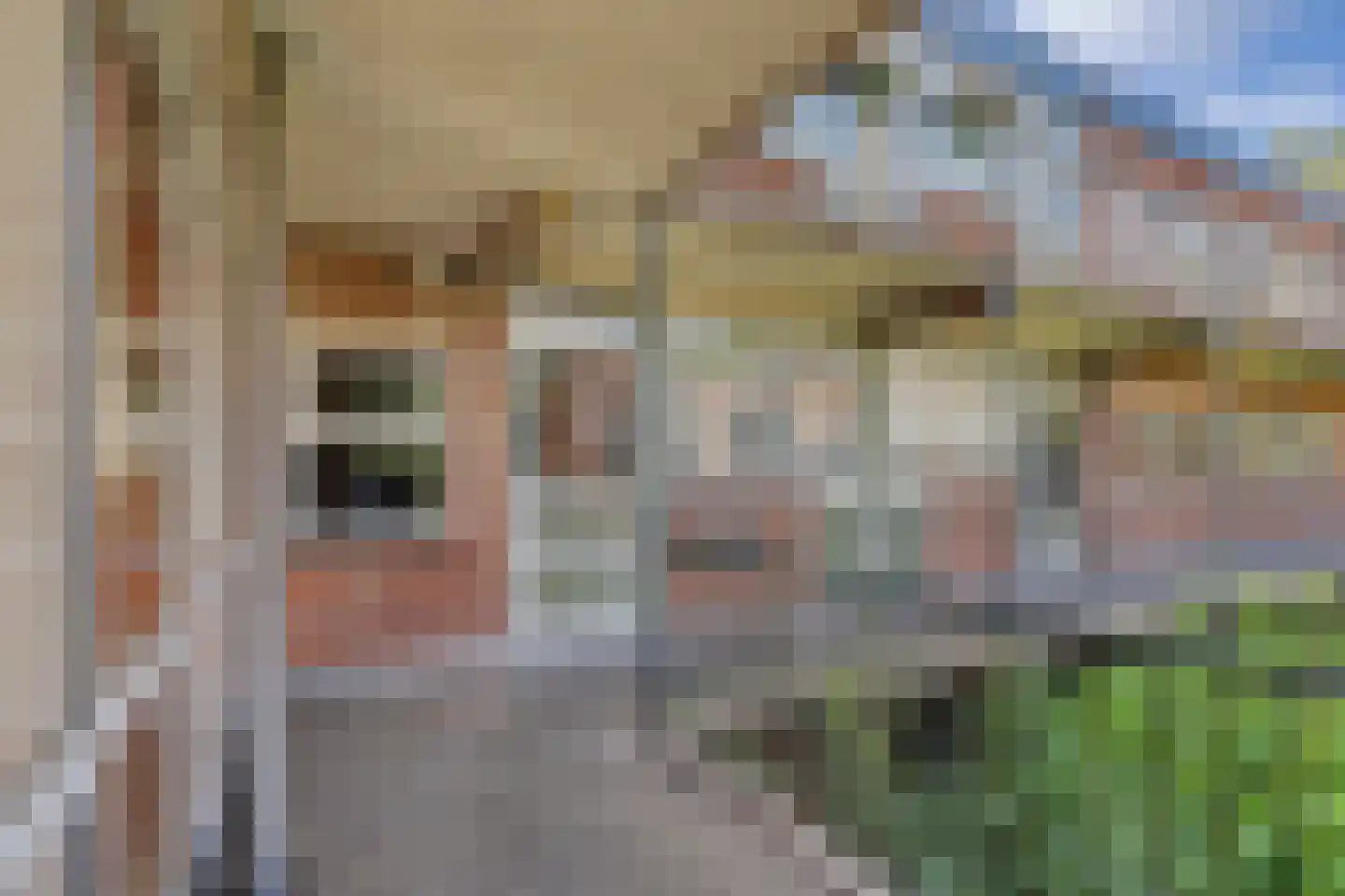 Paulus Potterstraat 75 Zutphen thumbnail 20