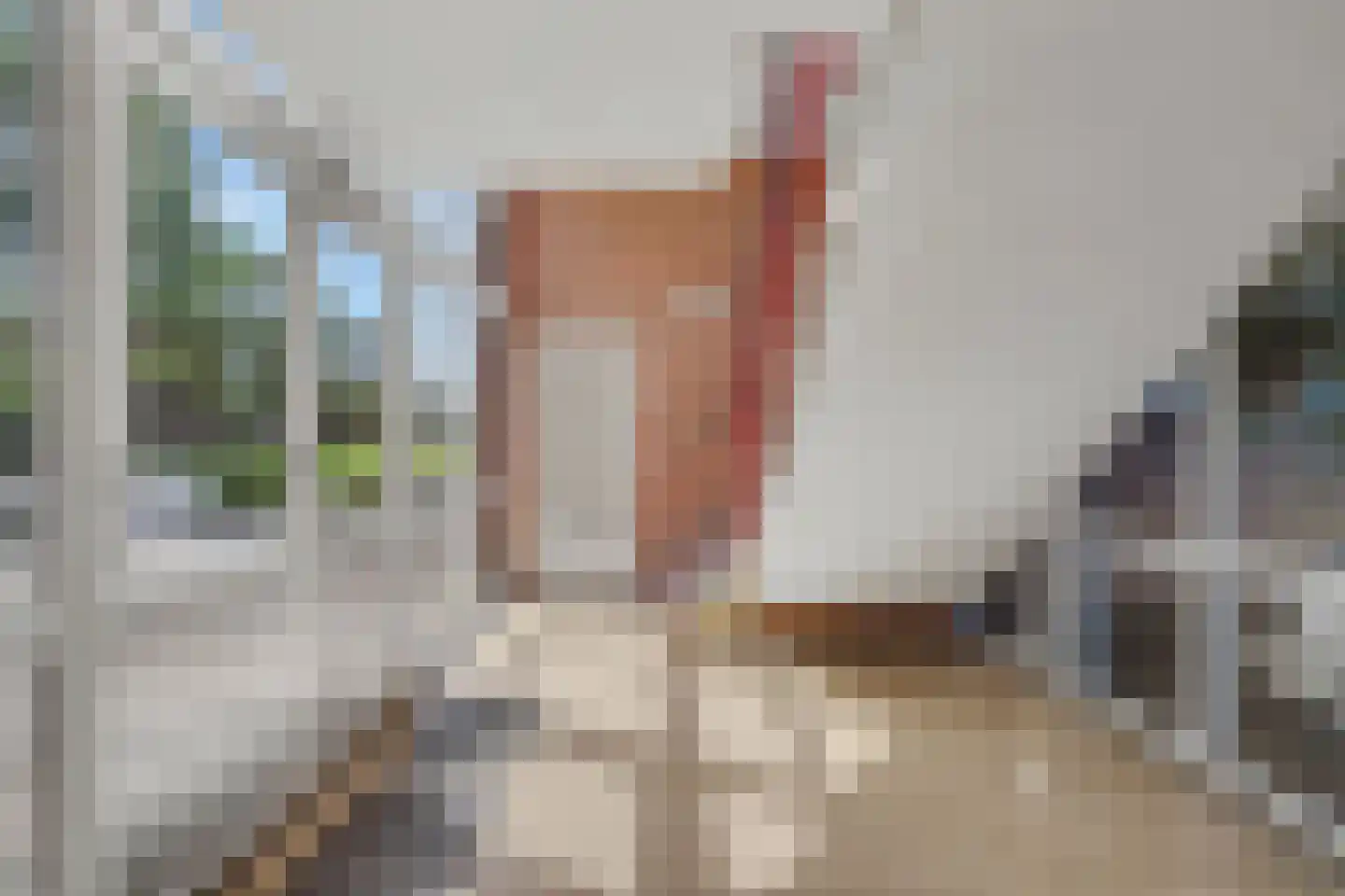 Paulus Potterstraat 75 Zutphen thumbnail 22
