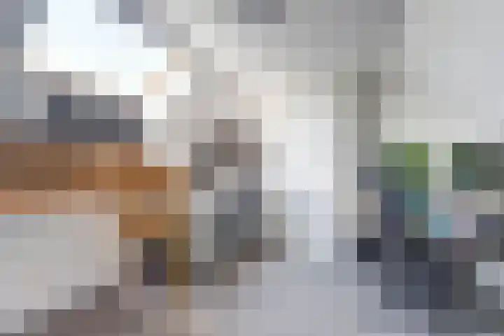 Paulus Potterstraat 8 Bergen L thumbnail 32