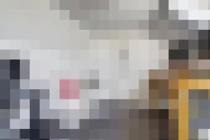 Paulus Potterstraat 8 Bergen L thumbnail 33
