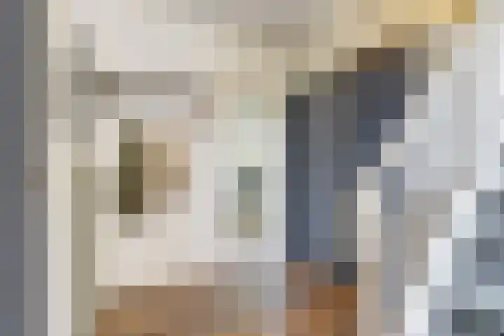 Paulus Potterstraat 8 Bergen L thumbnail 8