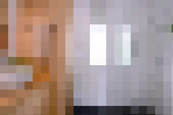 Paulus Potterstraat 8 h Zutphen thumbnail 30