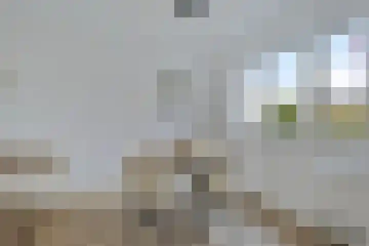 Paulus Potterstraat 9 B Eindhoven thumbnail 12