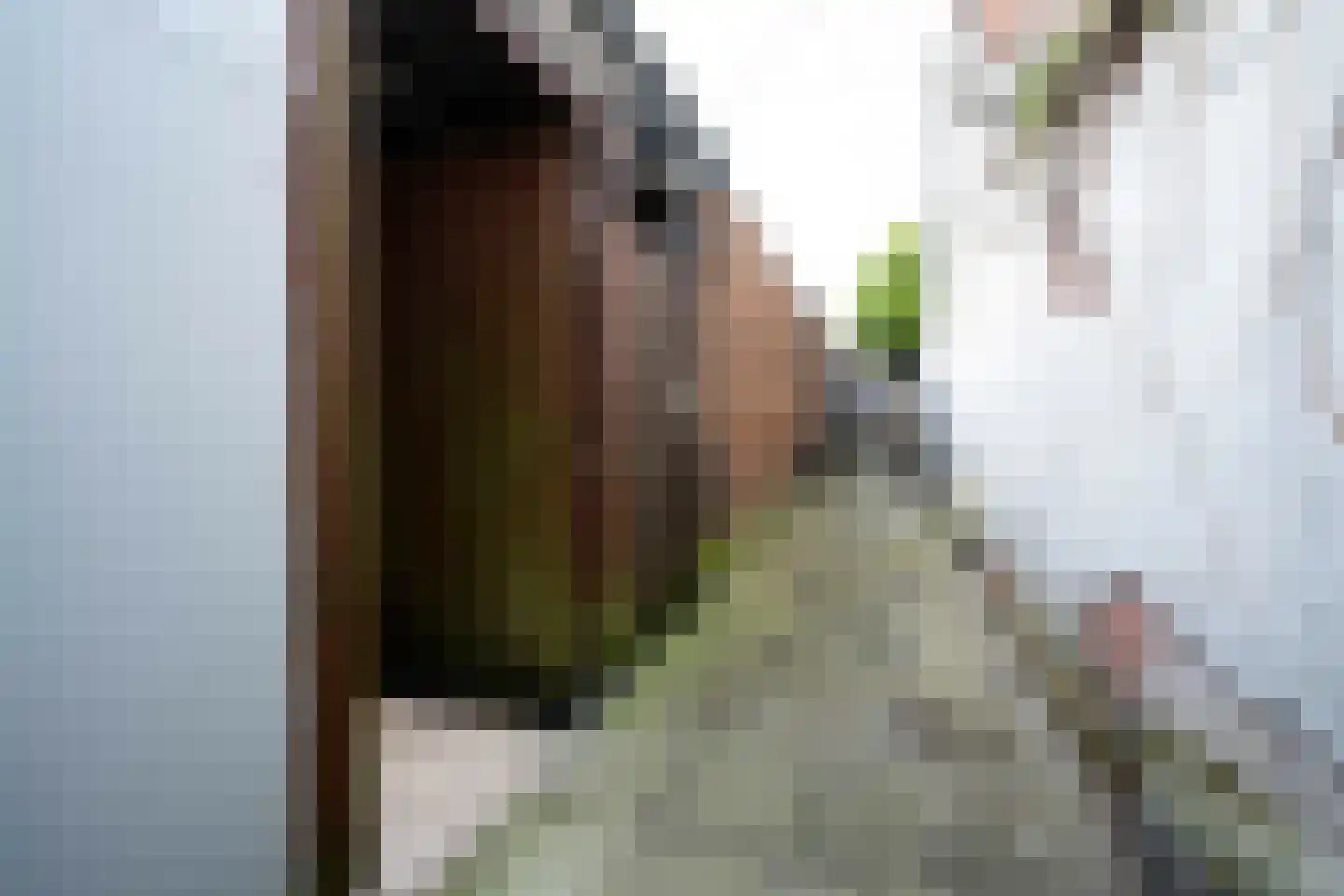 Paulus Potterstraat 90 Den Haag thumbnail 31