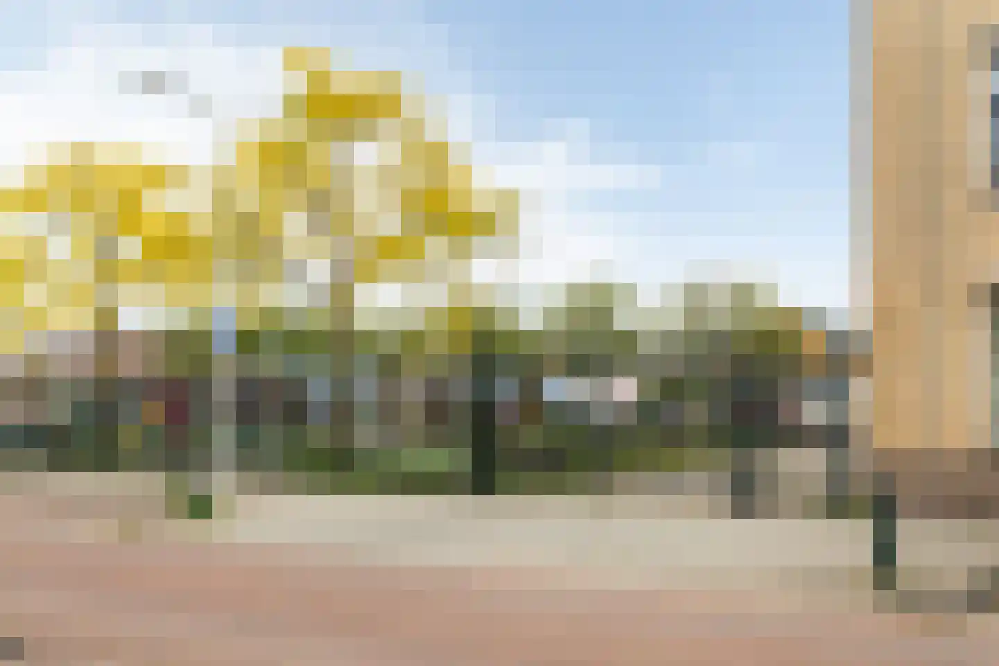 Paulus Potterstraat 90 Den Haag thumbnail 46