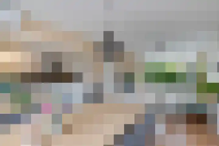 Paulus Potterweg 12 Eelde thumbnail 13