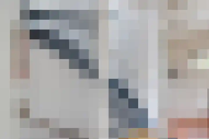 Paulus Potterweg 12 Eelde thumbnail 19