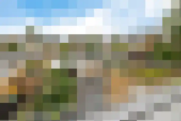 Paulus Potterweg 12 Eelde thumbnail 27