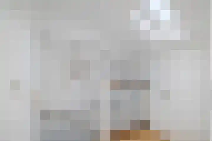 Paulus Potterweg 12 Eelde thumbnail 32
