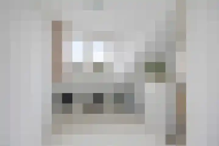Paulus Potterweg 12 Eelde thumbnail 33
