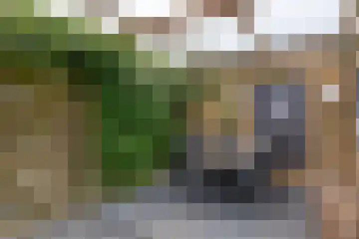 Paulus Potterweg 12 Eelde thumbnail 37