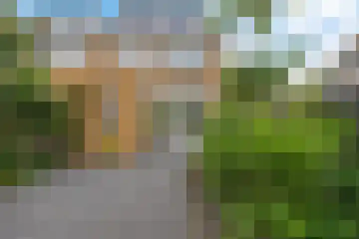 Paulus Potterweg 12 Eelde thumbnail 38