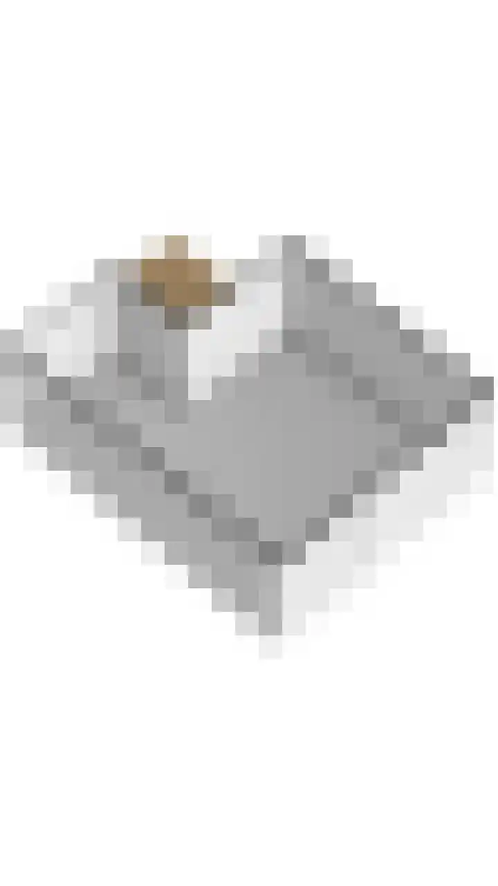 Paulus Potterweg 12 Eelde thumbnail 47