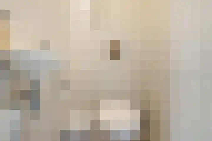 Paulus Potterweg 12 Eelde thumbnail 5
