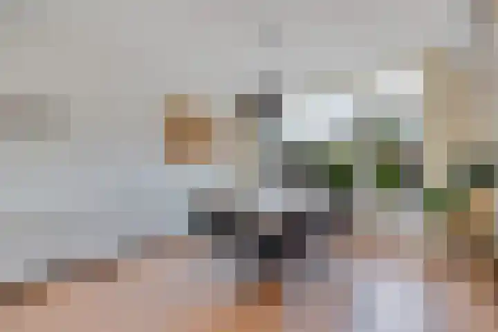 Paulus Potterweg 12 Eelde thumbnail 7