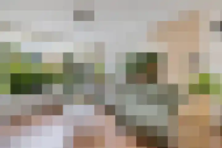 Paulus Potterweg 12 Eelde thumbnail 8