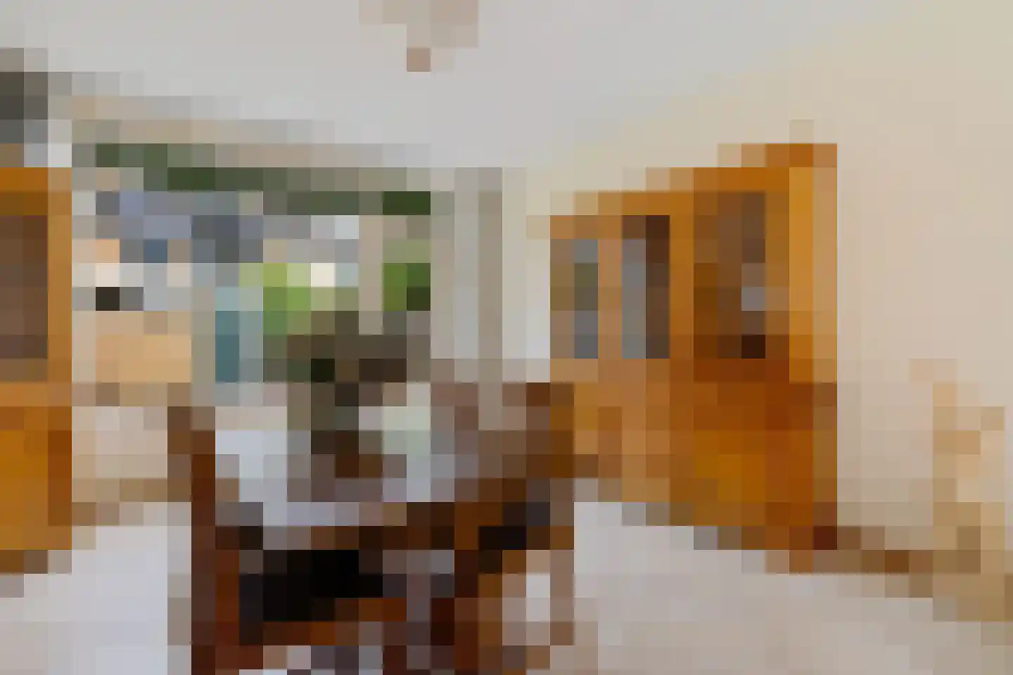 Paulus Potterweg 19 Eelde thumbnail 10