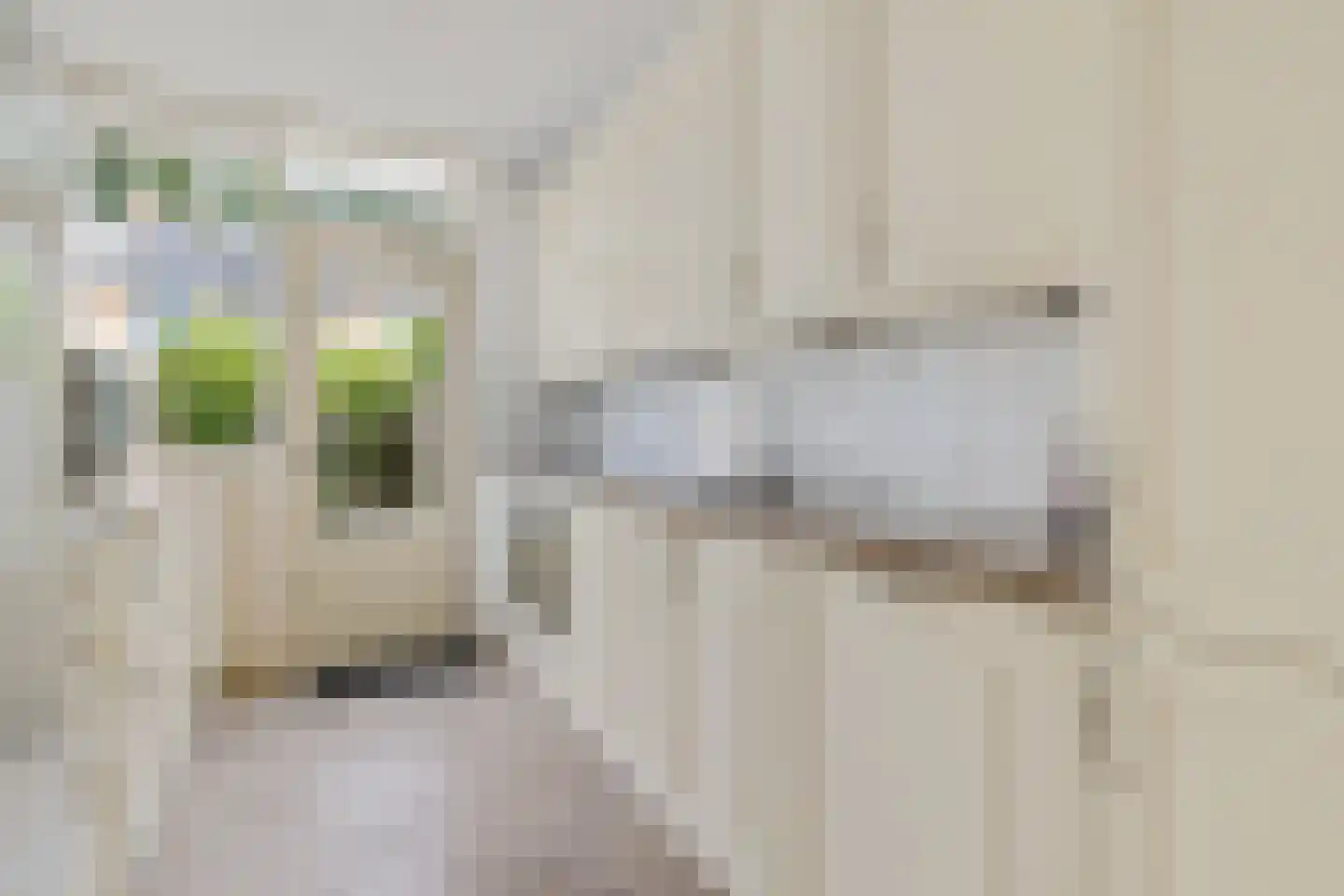 Paulus Potterweg 19 Eelde thumbnail 14