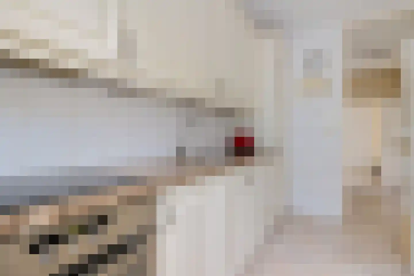 Paulus Potterweg 19 Eelde thumbnail 18