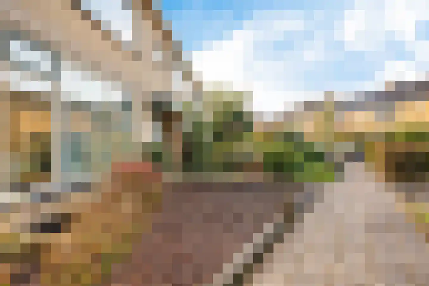 Paulus Potterweg 19 Eelde thumbnail 4