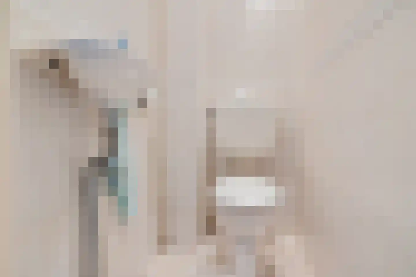Paulus Potterweg 19 Eelde thumbnail 7