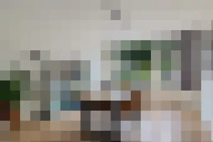 Paulus Potterweg 37 Eelde thumbnail 13