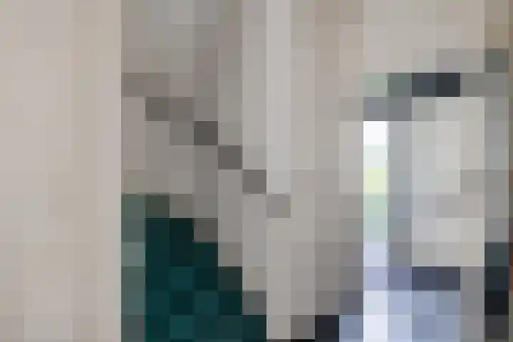 Paulus Potterweg 37 Eelde thumbnail 15