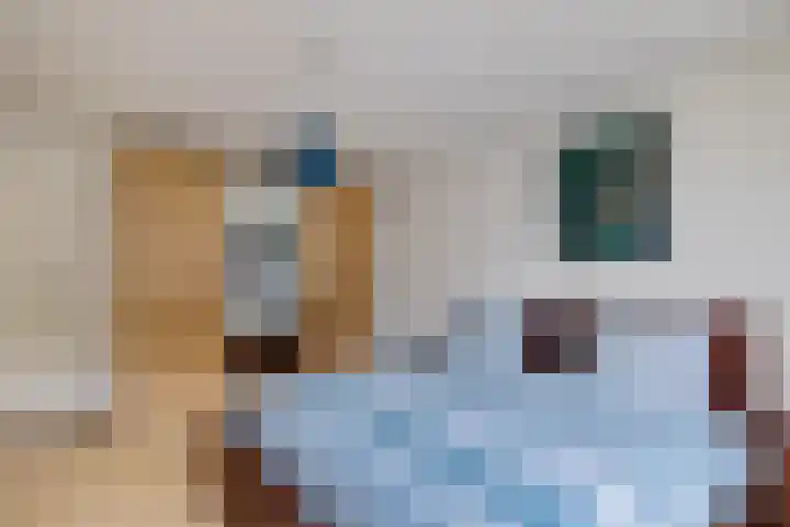 Paulus Potterweg 37 Eelde thumbnail 19