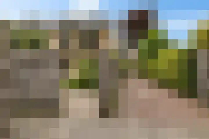 Paulus Potterweg 37 Eelde thumbnail 33