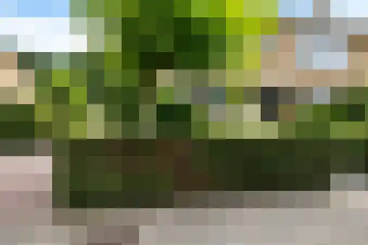 Paulus Potterweg 37 Eelde thumbnail 4