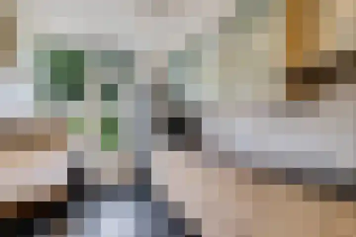 Paulus Potterweg 37 Eelde thumbnail 8