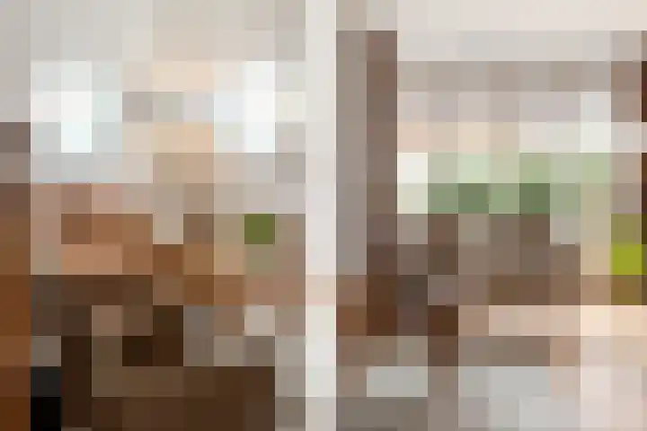 Paulus Rinkstraat 14 Oosterhout thumbnail 14