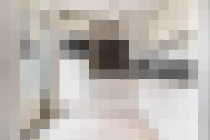 Paulus Rinkstraat 14 Oosterhout thumbnail 18