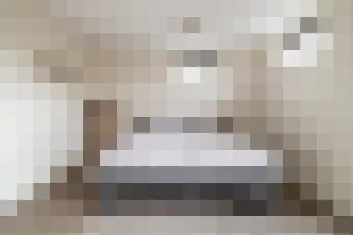 Paulus Rinkstraat 14 Oosterhout thumbnail 22